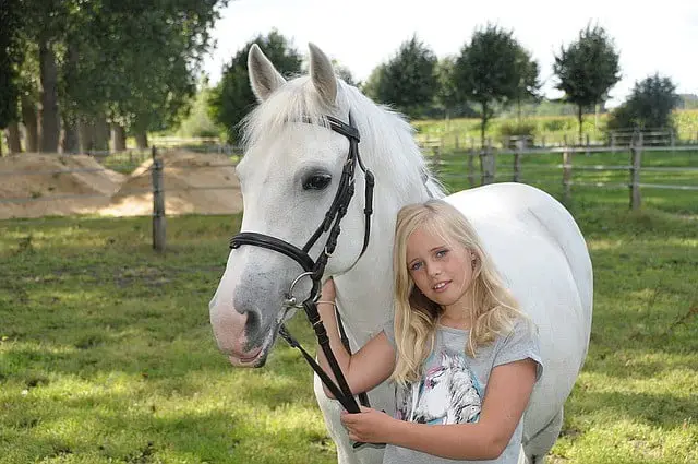 Munkedals Ridskola Munkedal